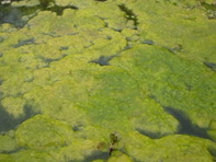 040240v3-d04f-197x148.png