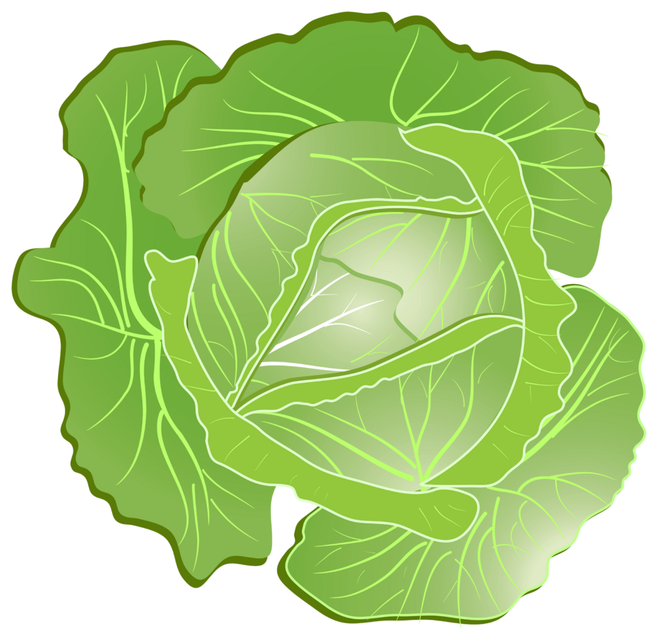 0402418d-23d2-940x915.png