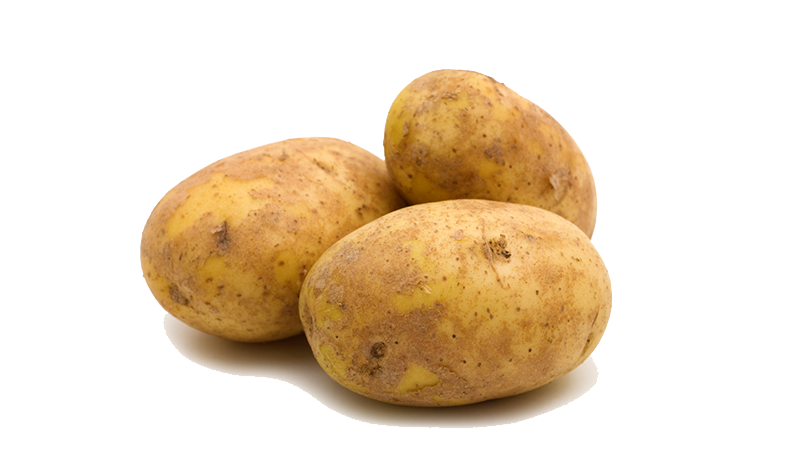 0402418g-48c7-798x452.png