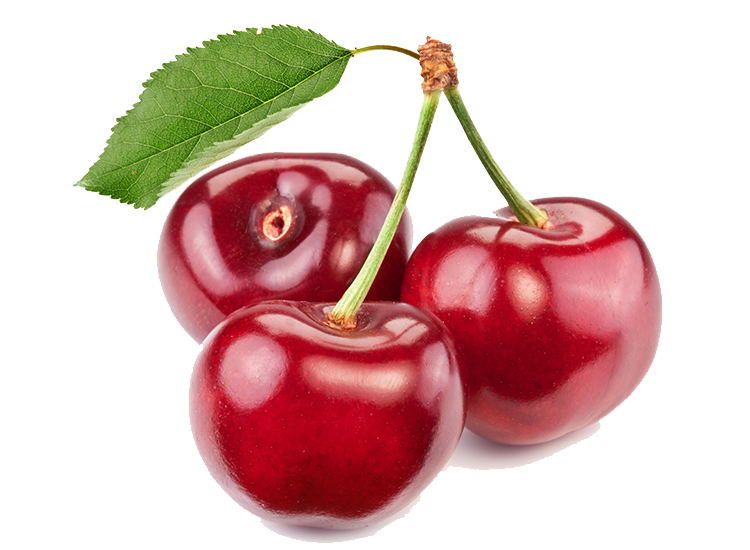 04024193-a7f1-750x550.png