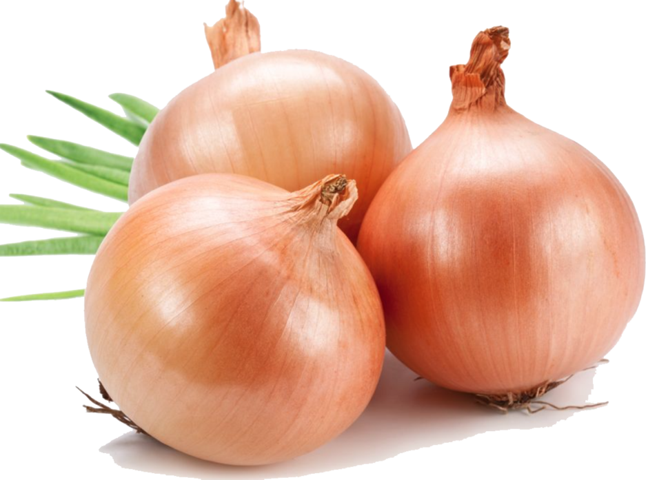 0402419h-9cf3-940x697.png