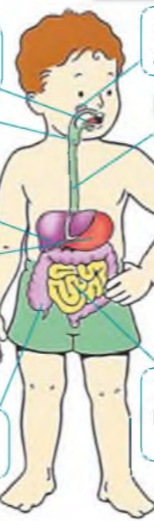 040242a8-ae78-154x521.png