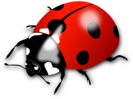 040243lj-6842-263x197.png