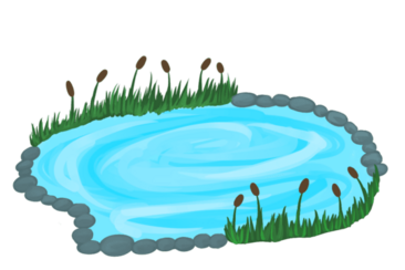 040243xw-ad67-366x244.png