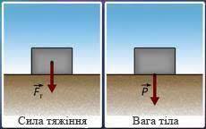 Вага тіла — урок. Фізика, 7 клас.