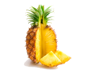 040244s3-2494-305x258.png