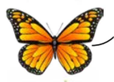 040244sb-5bc5-379x273.png