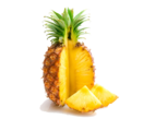 04024506-f259-142x120.png
