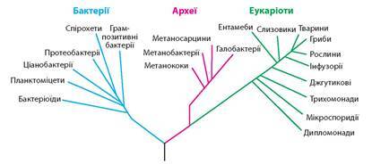 04024568-e207-415x184.jpg