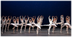 040245rt-efbb-250x130.png