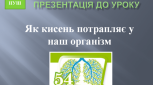 Як кисень потрапляє у наш організм