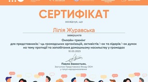 Запобігання та протидія домашньому насильству у громадах