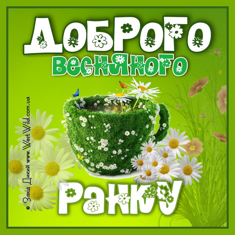Доброго весняного ранку та гарного дня. Картинки - Фото - Привітання -  Побажання - Листівки - West Wild | Захід Дикий