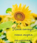040249f2-ec7d-150x173.png
