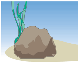 040249ke-ce0b-316x257.png