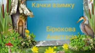 "Життя диких качок взимку"