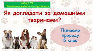 Презентація "Як доглядати за домашніми тваринами". "Пізнаємо природу" 5 клас НУШ.