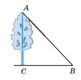 04024cb4-ae1d-162x160.png