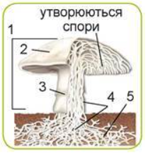 04024cvl-7705-209x227.png