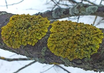 04024d7i-f810-362x254.jpg