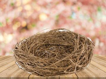 04024dew-78cd-358x269.jpg
