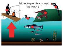 04024dzv-ea55-216x157.jpg