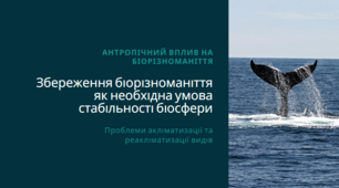 Презентація "Антропічний вплив на біорізноманіття. Проблеми акліматизації та реакліматизації видів. Збереження біорізноманіття як необхідна умова стабільності біосфери.", 11 клас
