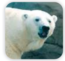 04024frk-66bd-223x212.png