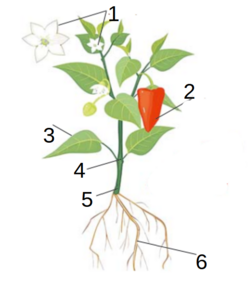 04024fsf-db31-248x284.png