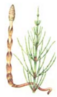 04024ga7-6609-57x97.png