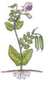 04024gbk-5467-74x125.png