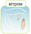 04024h6i-a68d-103x113.png