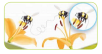 04024hfw-b556-203x108.png
