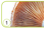 04024hm6-edb5-143x94.png