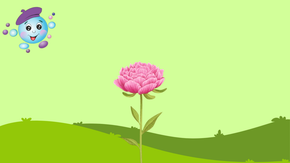 04024ho7-64a8-940x529.png