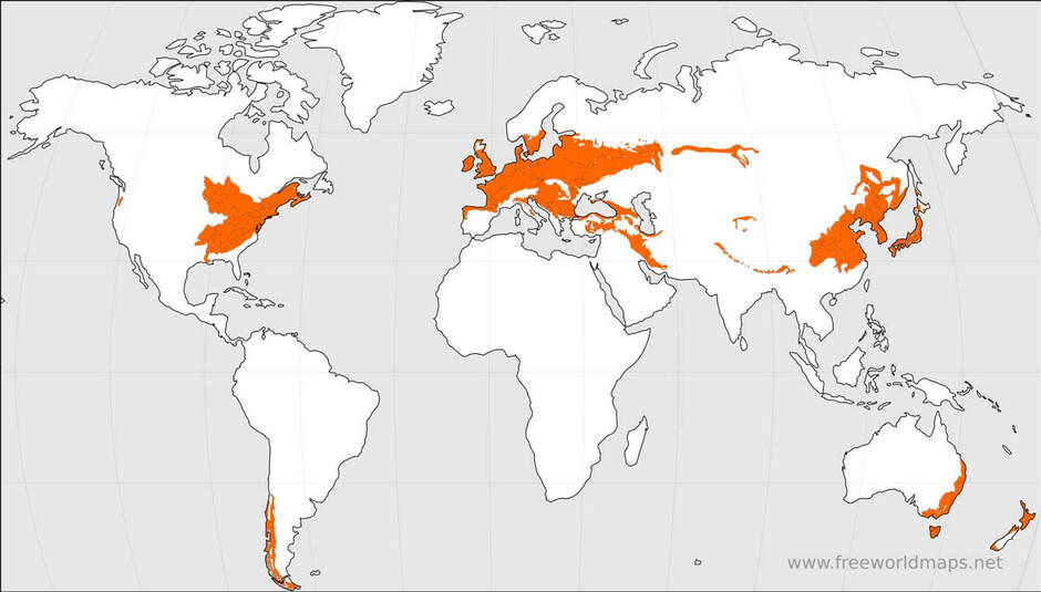 04024m3j-7603-940x535.jpg