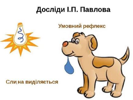 Презентація до уроку на тему: " Умовні та безумовні рефлекси"
