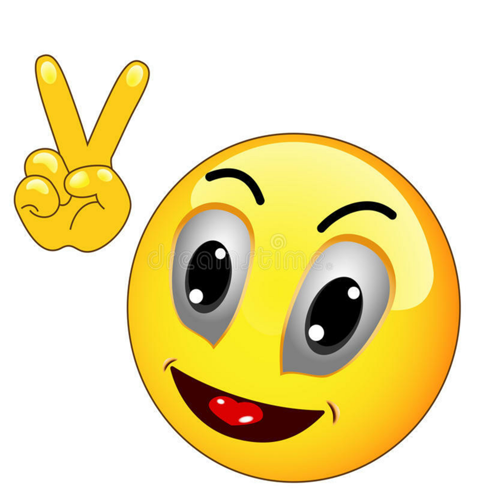04024plg-d716-940x985.png