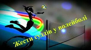 Волейбол. Суддівство