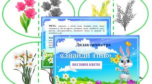 Дидактична гра "Знайди тінь" (ВЕСНЯНІ КВІТИ)