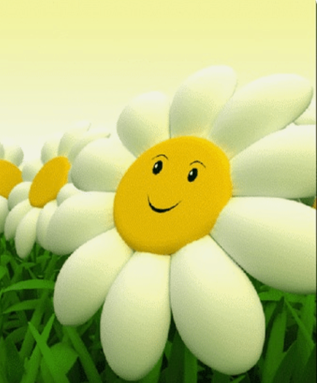 04024qkx-92d4-458x553.png