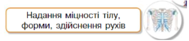 04024spr-7904-372x82.png
