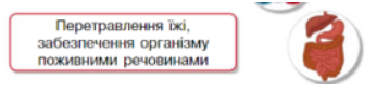 04024sq9-b742-347x85.png