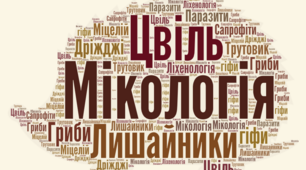 Презентація для 5 класу на тему ,, Наскільки різноманітними є гриби та лишайники і яке їхнє значення,, НУШ