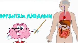 Діагностувальна робота. Організм людини