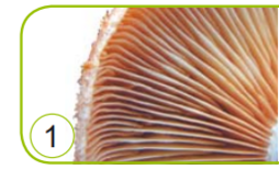 04024um9-a691-254x155.png