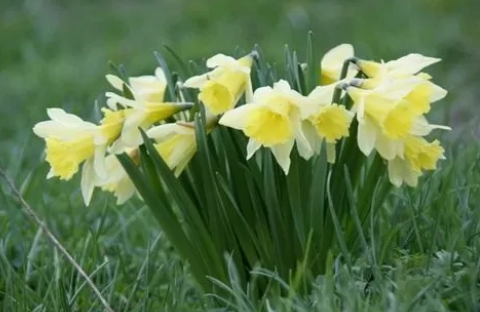 04024v5m-a111-480x312.png