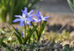 04024v5y-febf-417x284.png
