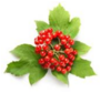 04024x1k-3b05-91x84.png