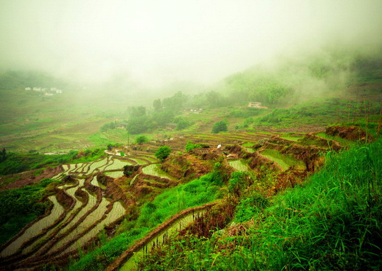 04024xfv-5cef-550x391.png